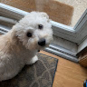 Meet your Posher, Laniya